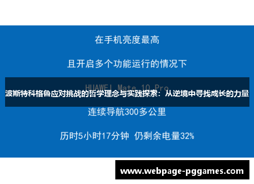 波斯特科格鲁应对挑战的哲学理念与实践探索：从逆境中寻找成长的力量